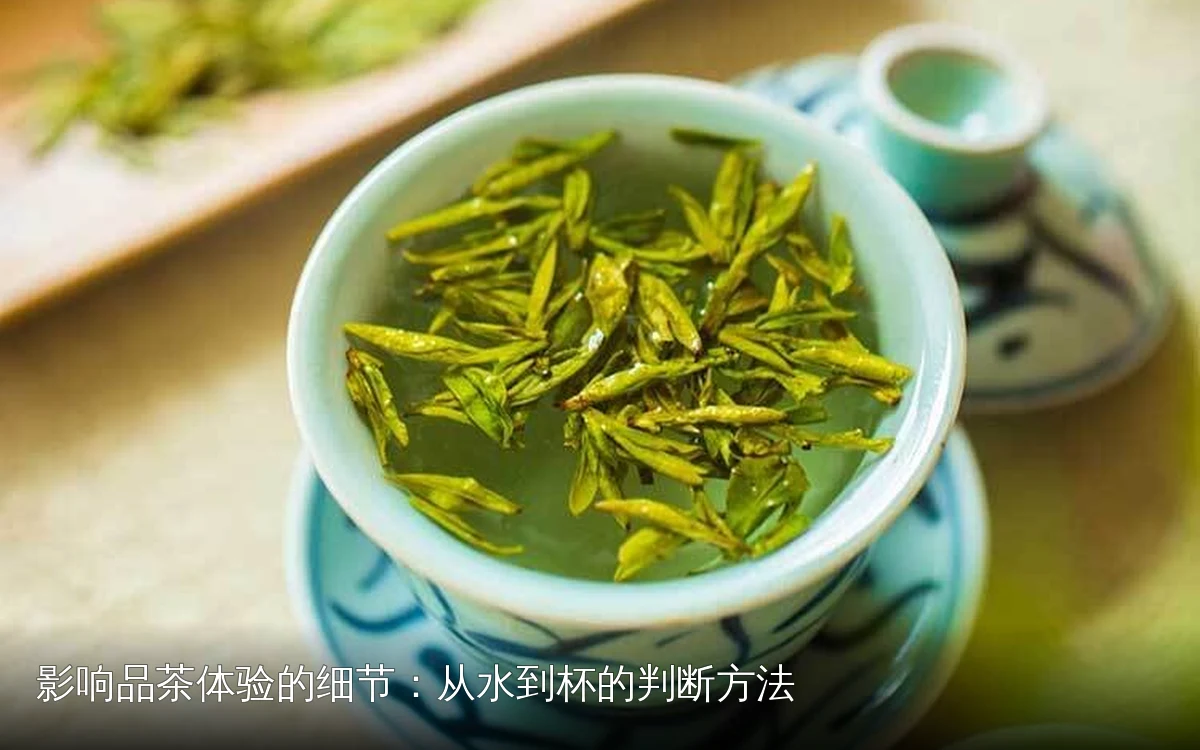 影响品茶体验的细节:从水到杯的判断方法