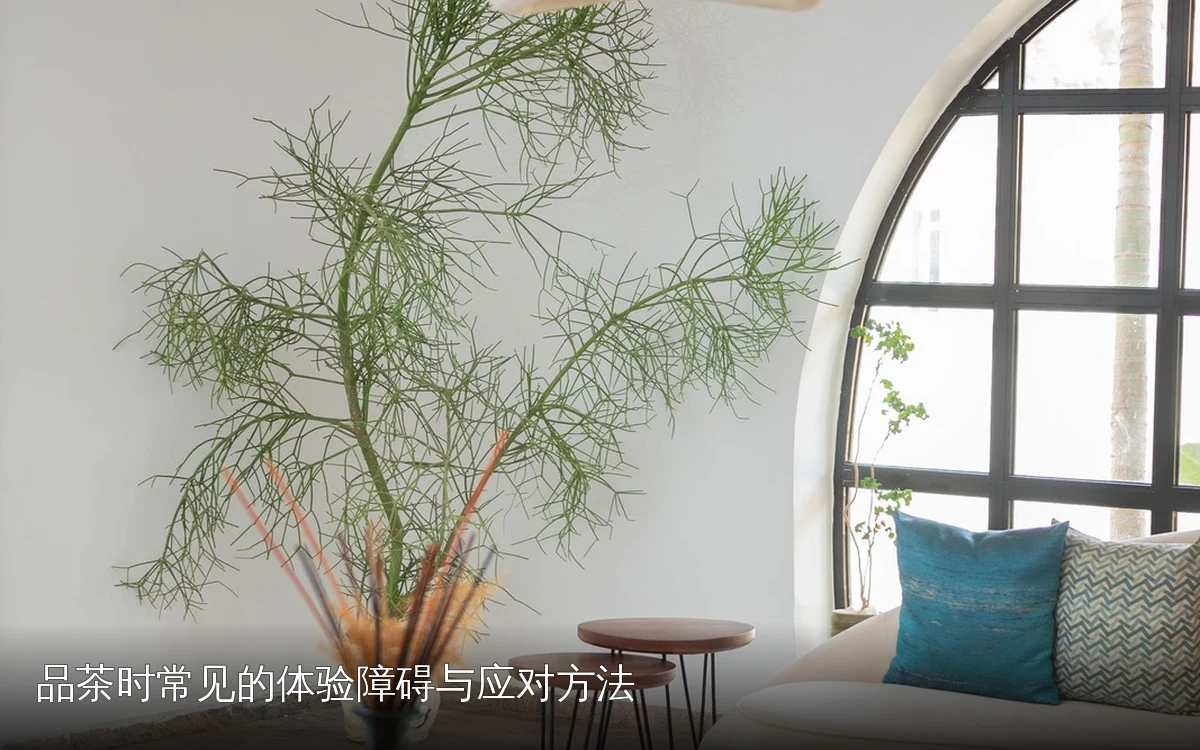 品茶时常见的体验障碍与应对方法