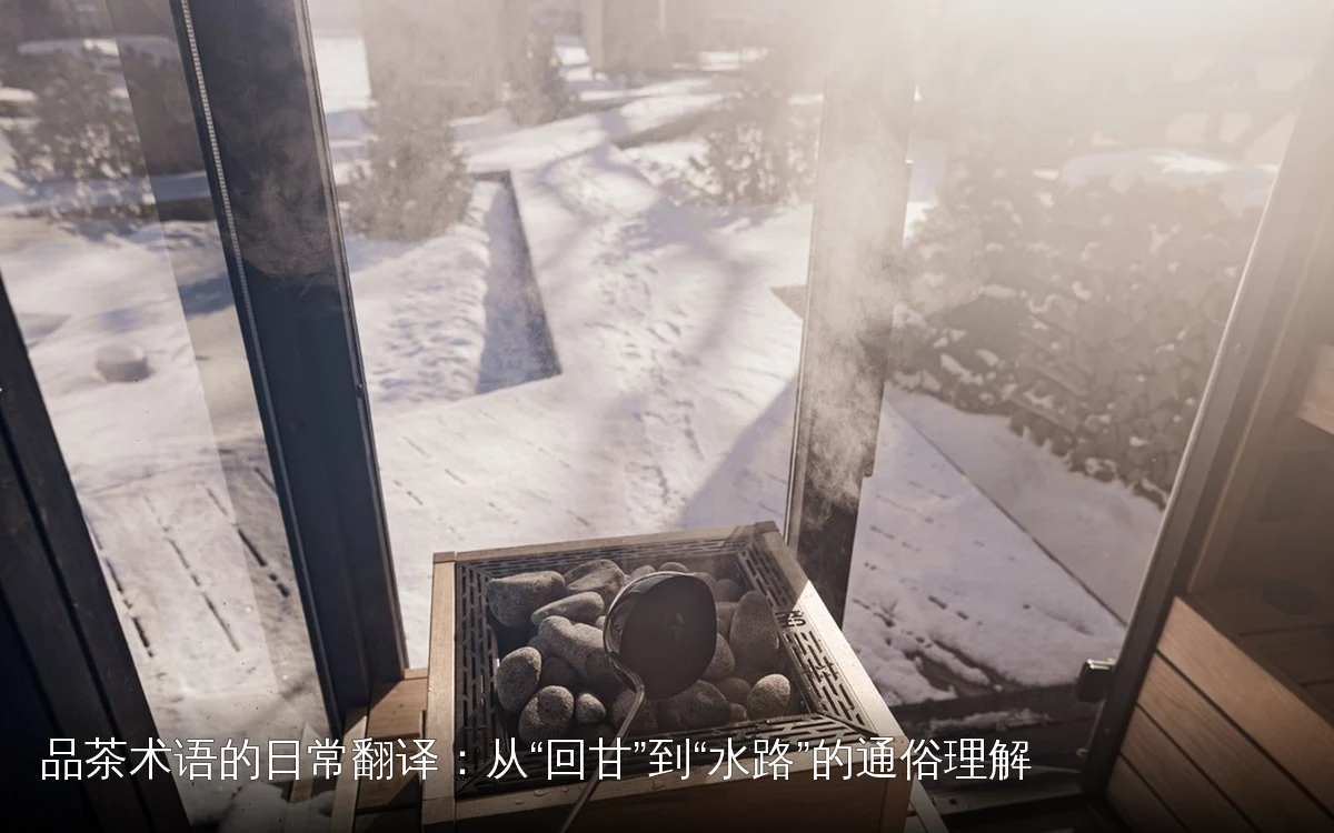 品茶术语的日常翻译:从“回甘”到“水路”的通俗理解