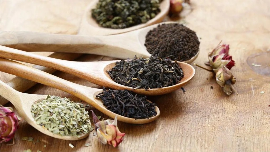 年轻女性在城市茶席前阅读与交流茶文化资料
